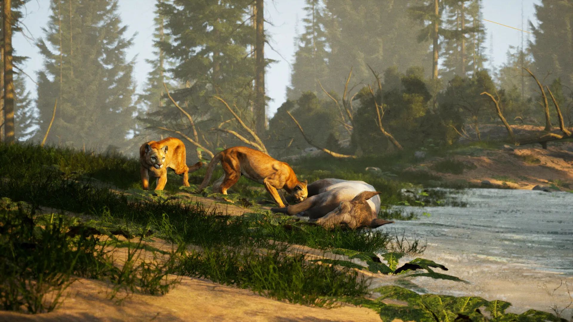 The Cenozoic Era
