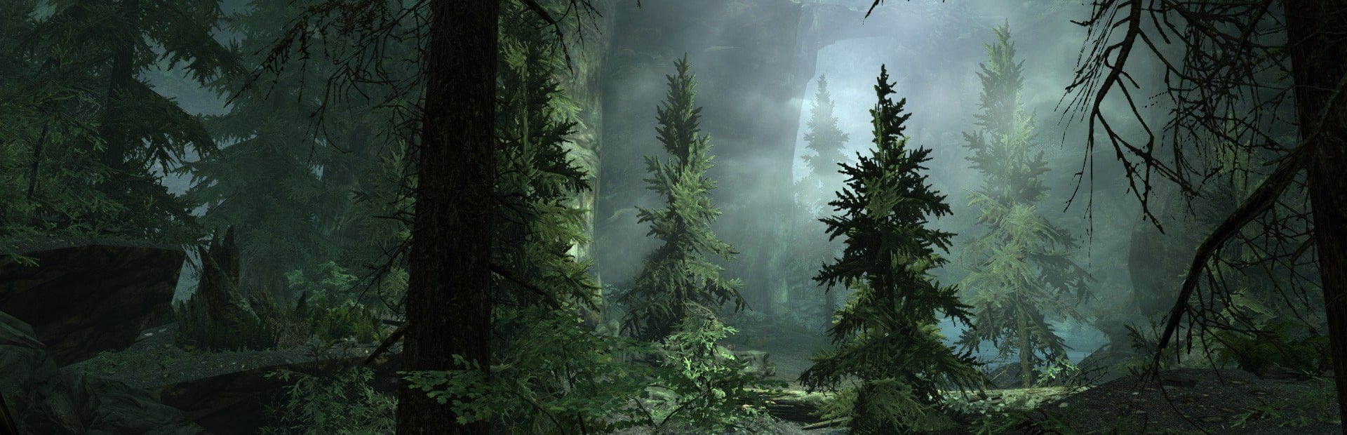 The Forest